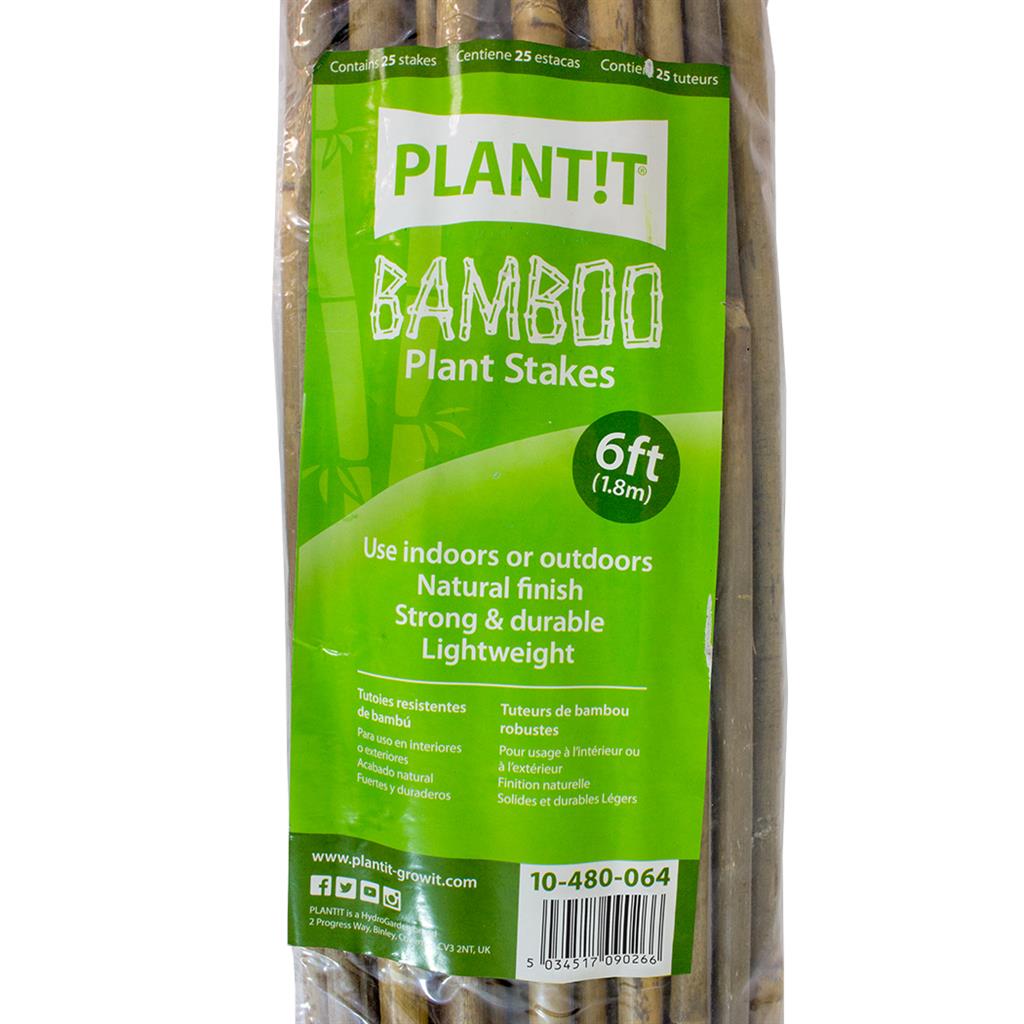 6' Bamboo Stakes (180cm) - Pack of 25
