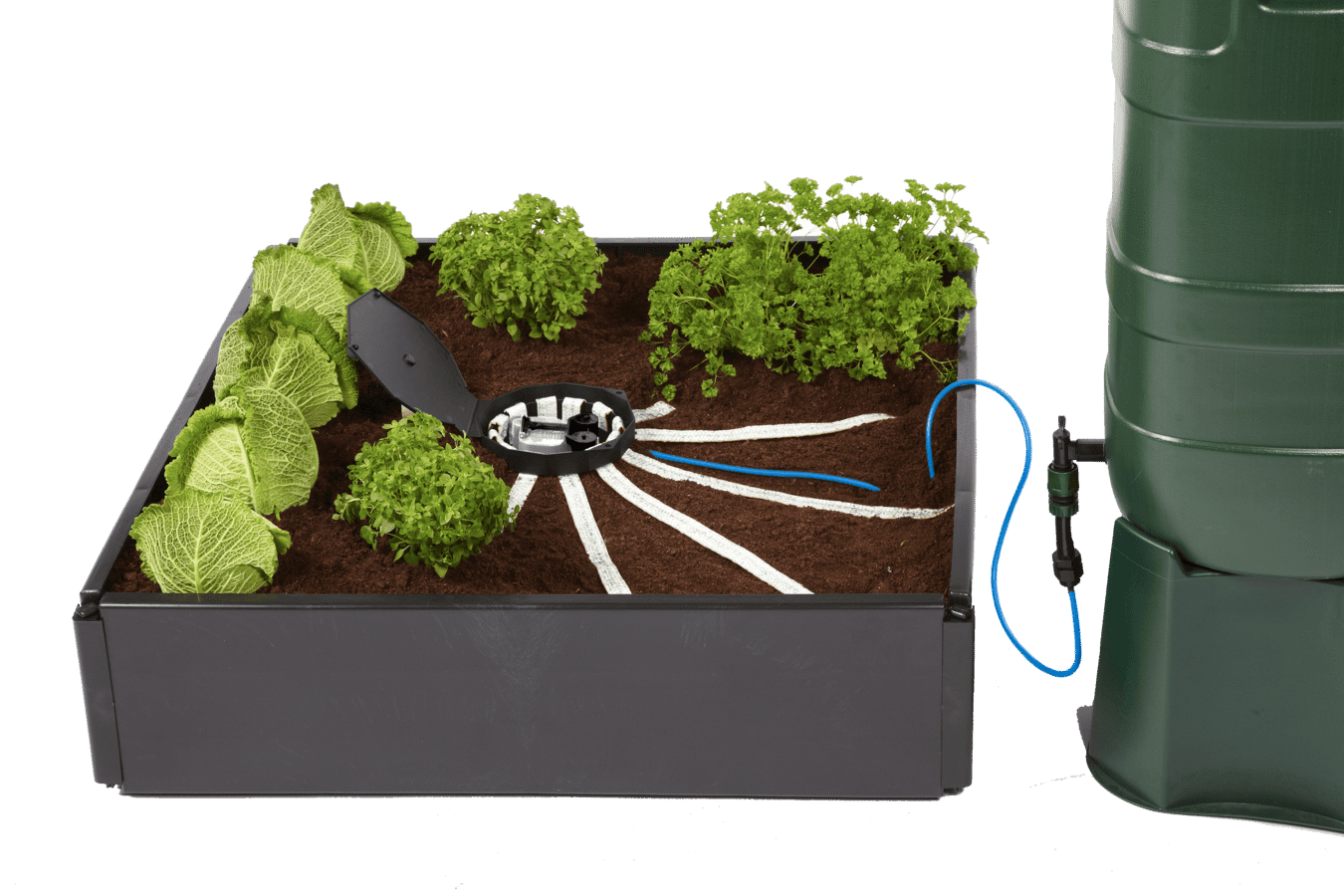 AutoPot AQUAbox Spyder