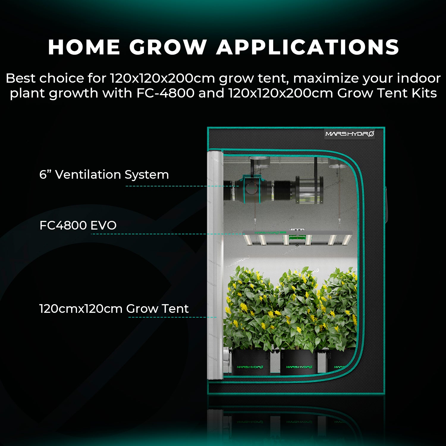 Mars Hydro FC4800 Samsung EVO Full Spectrum LED Grow Lights for 120x120cm Grow Box Tent (Final Samsung EVO Edition)