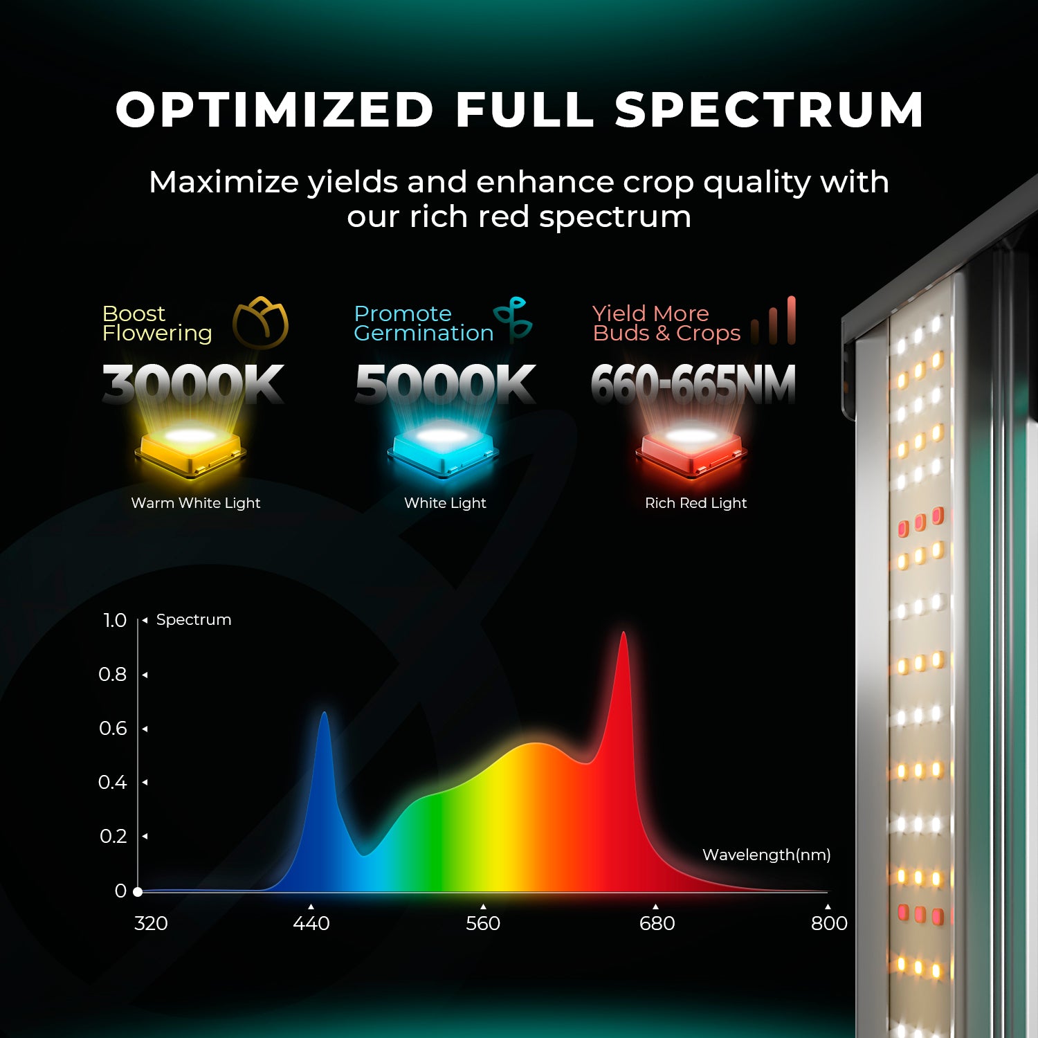 Mars Hydro FC4800 Samsung EVO Full Spectrum LED Grow Lights for 120x120cm Grow Box Tent (Final Samsung EVO Edition)