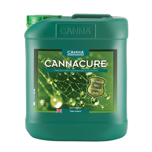 Cannacure
