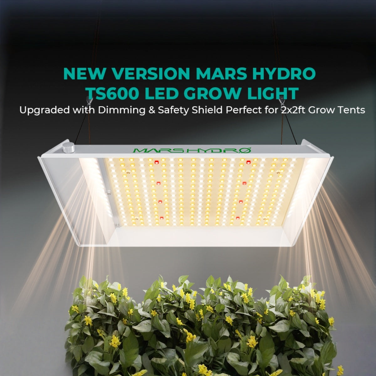Mars Hydro TS600 100W Full Spectrum Dimmable LED Grow Lights Growlampe