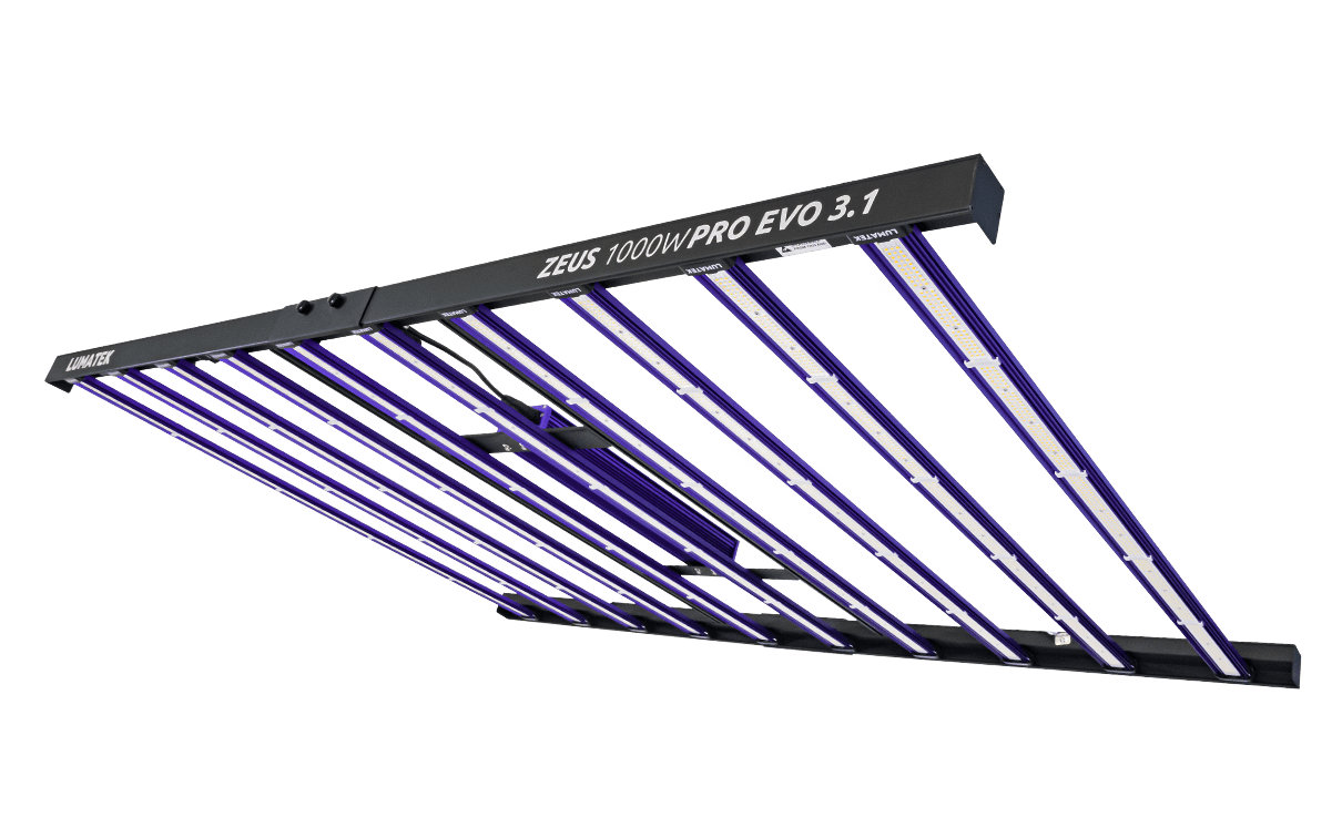 LUMATEK ZEUS 1000W PRO EVO 3.1 LED