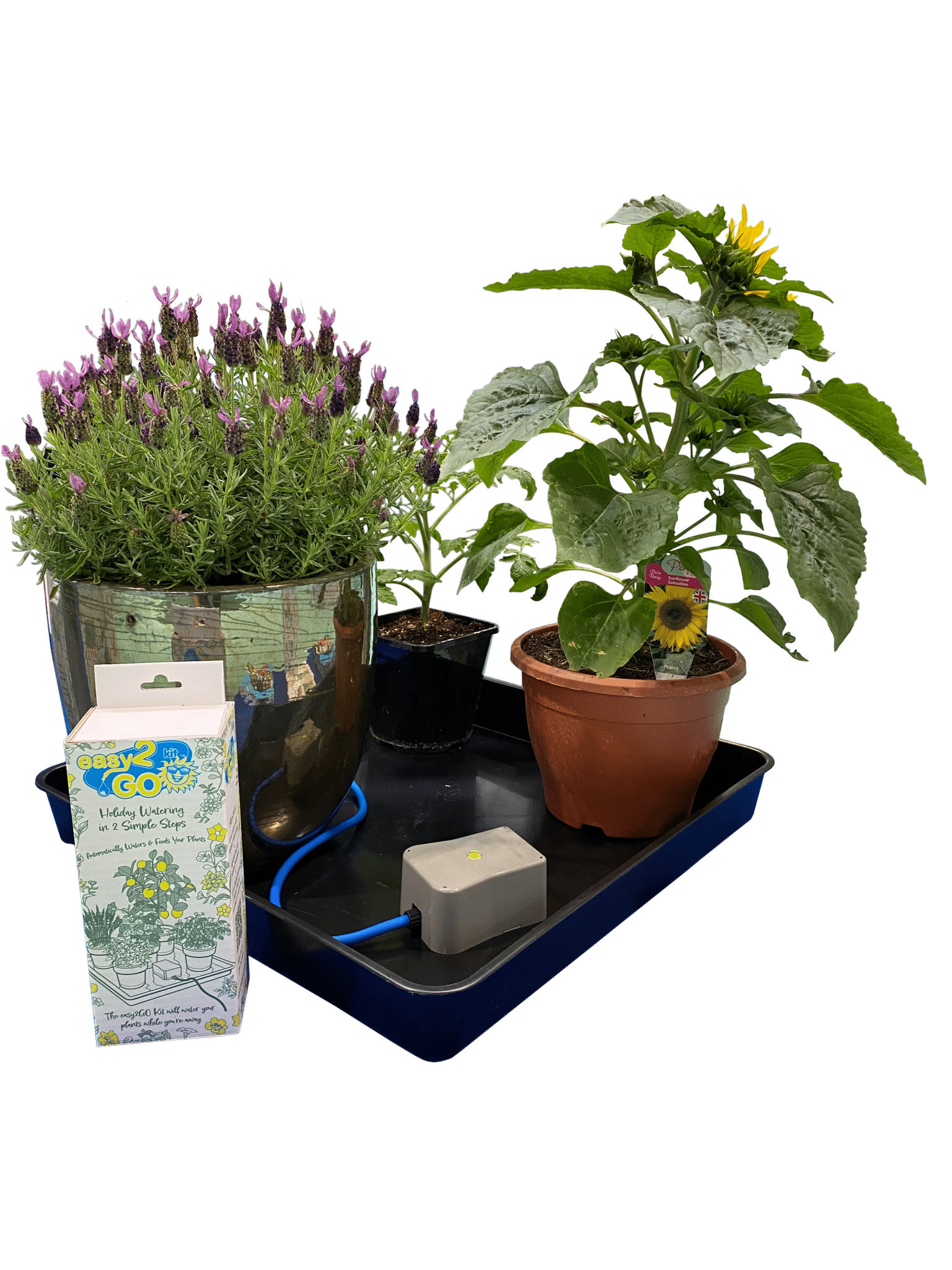 AutoPot easy2GO Kit