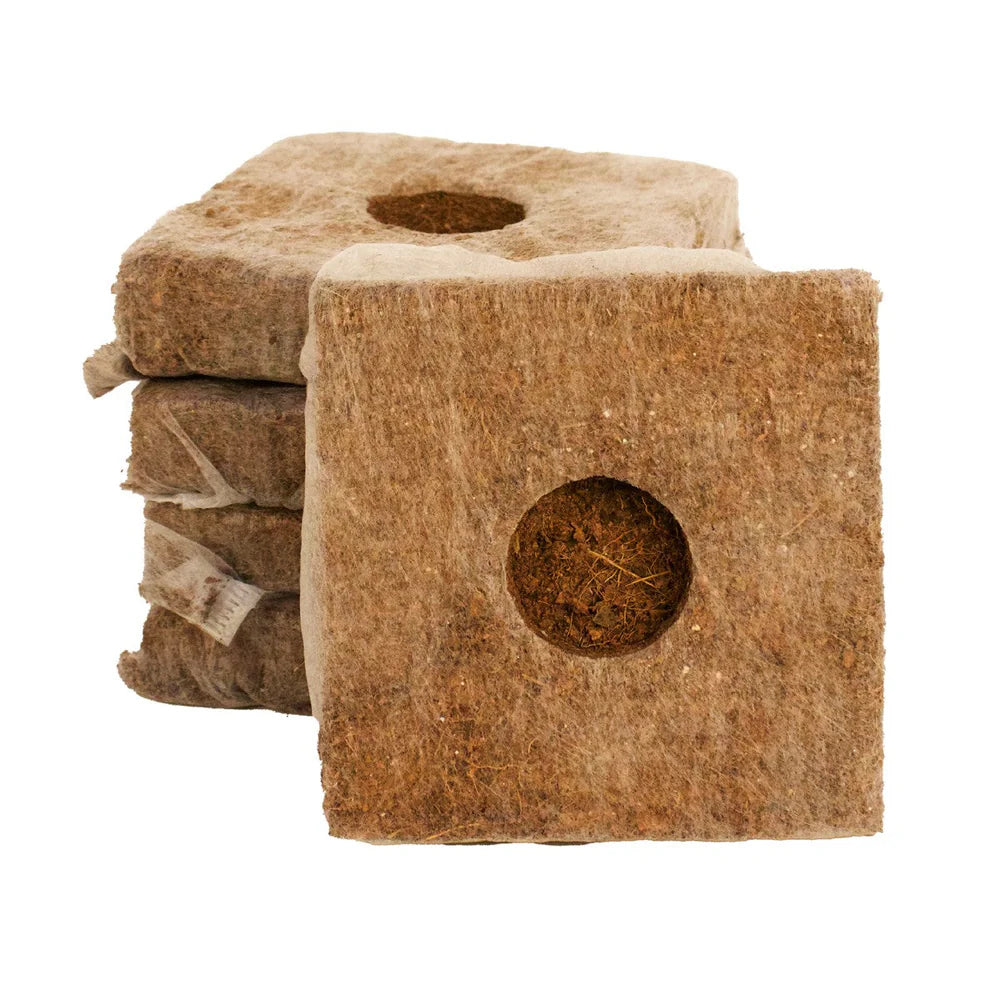 Jiffy Grow Block (92 per carton)