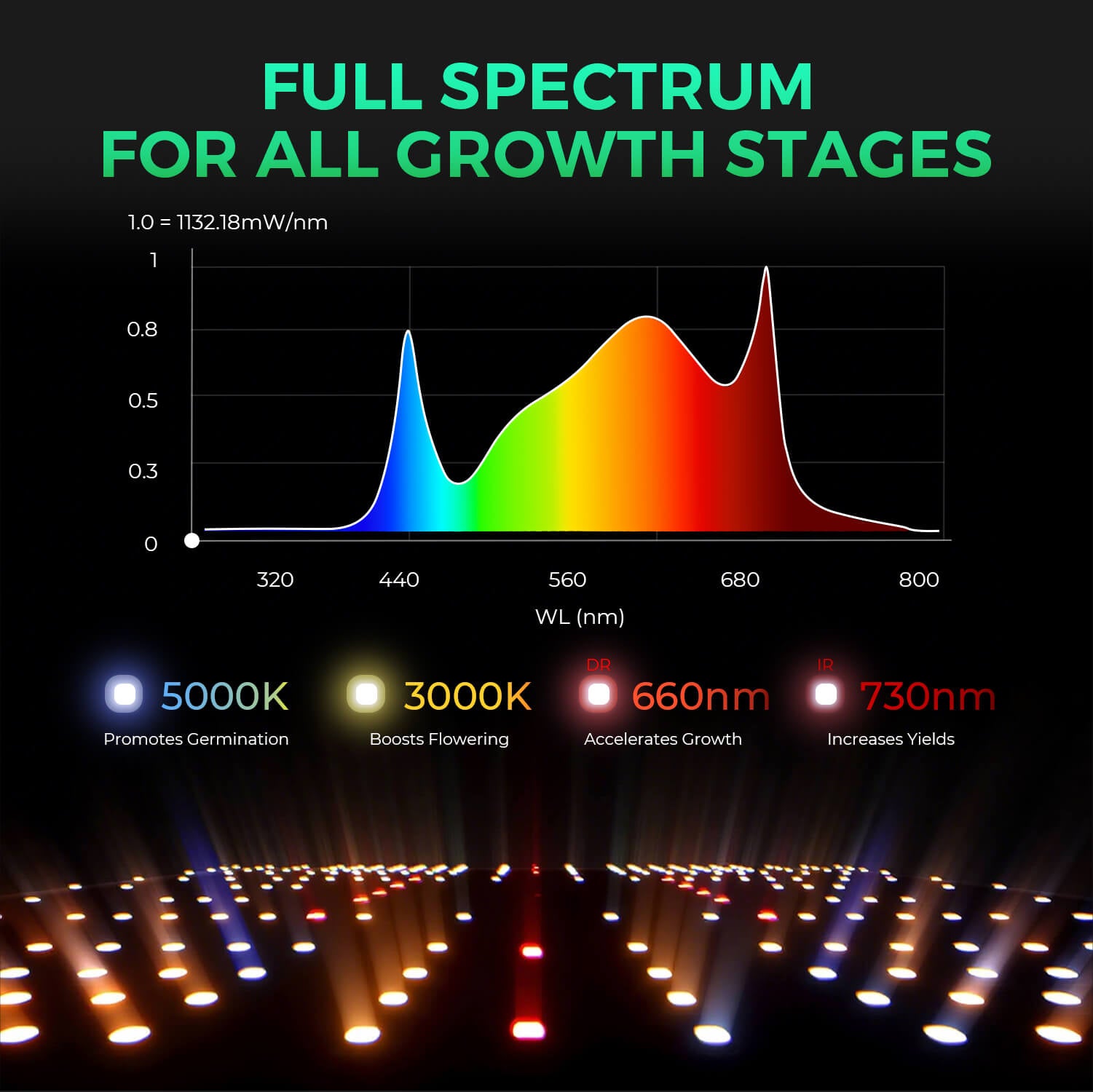 New Mars Hydro SP 3000 – Upgraded Full Spectrum & Uniform PPFD 300W LED for 2x4 Grow Tent