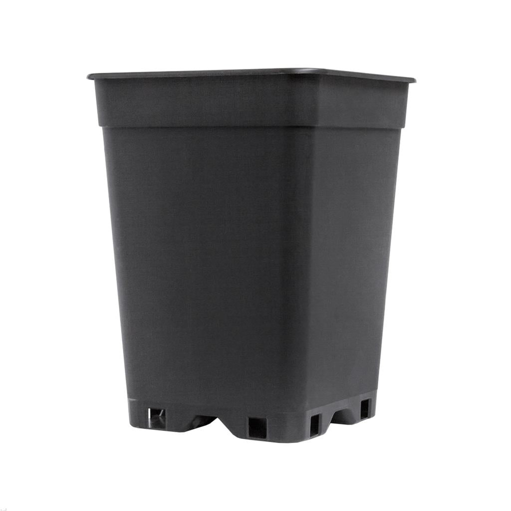 PotKing Square Pot 13cm - 2L