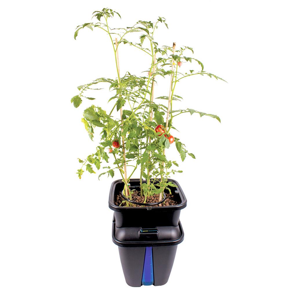 gemini Flow Ring Kit