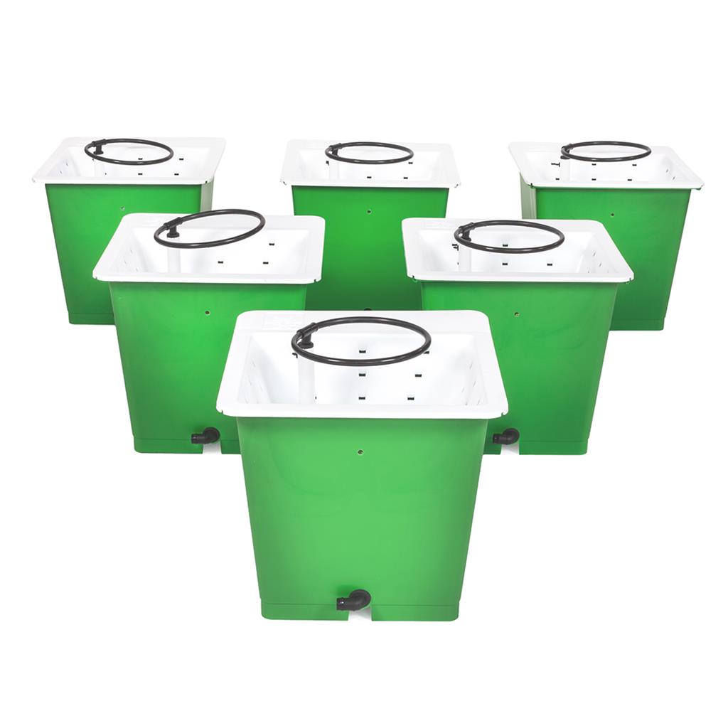 GREEN MAN Combi Kit 6 Pot Package