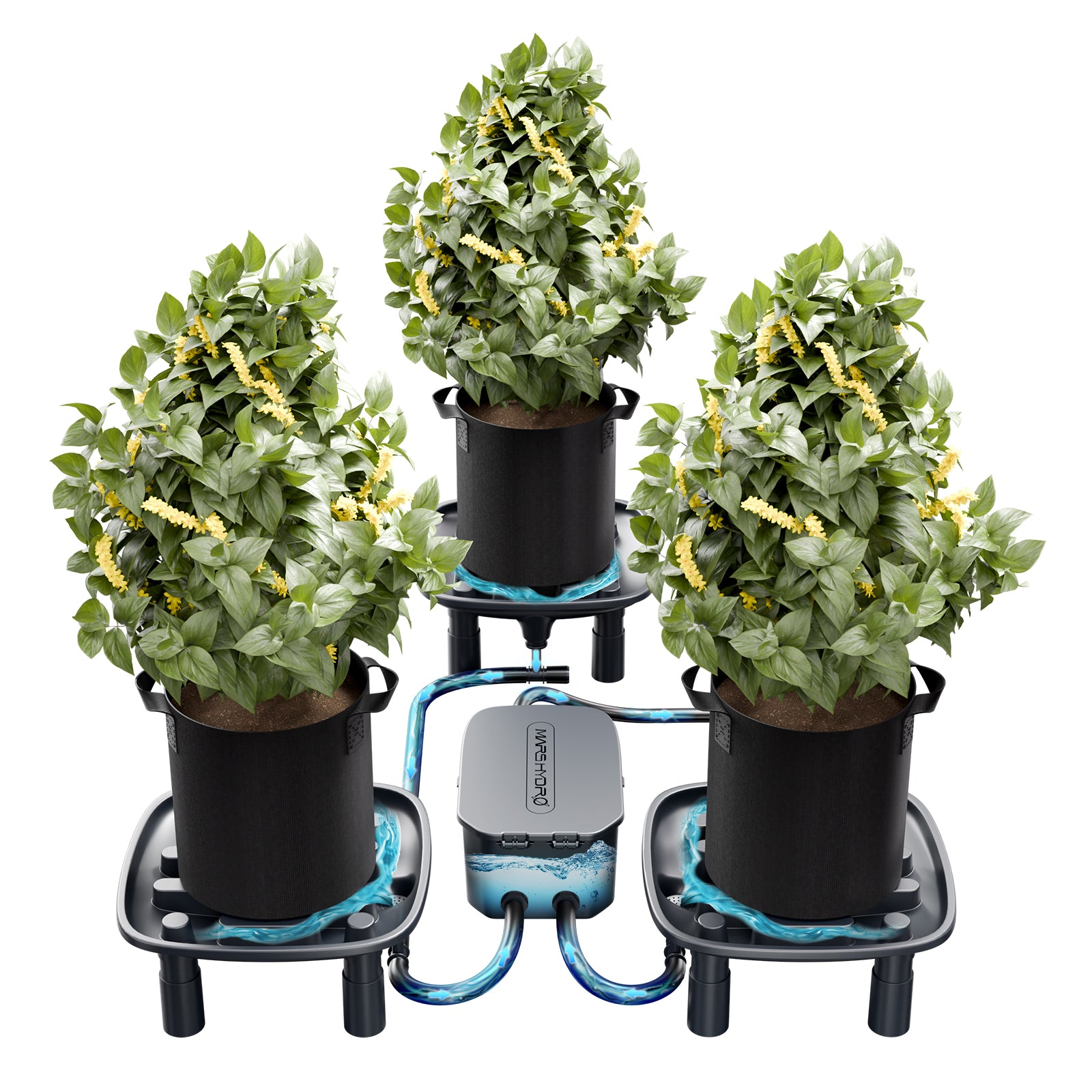 Mars Hydro Auto-Drainage System 3-Pack Runoff Trays|Water Pump|Grow Bags|for Grow Tents Garden 3 Plants