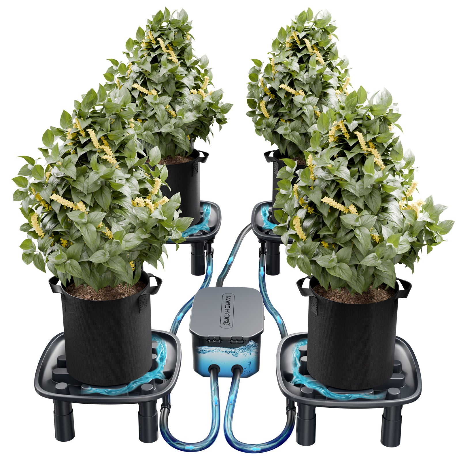Mars Hydro Auto-Drainage System with 4-Pack Runoff Trays|Water Pump|Grow Bags|for Grow Tents Greenhouses Garden