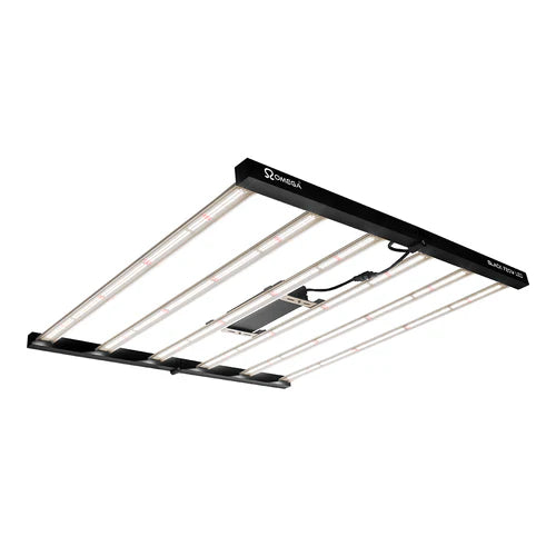 BAY6 1.2 x 1.2 x 2m Omega Black 720W LED Kit