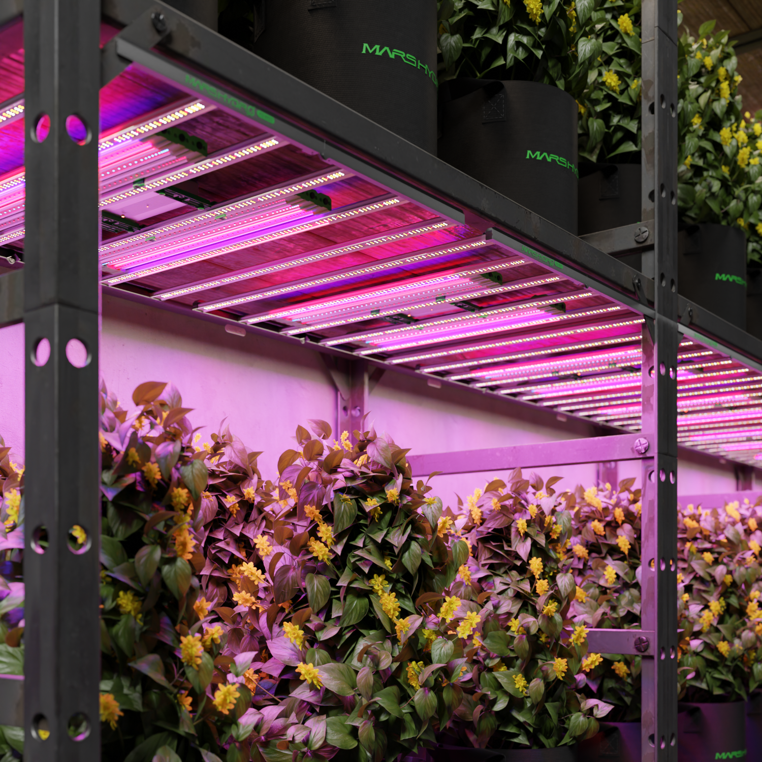 Mars Hydro 108W ADlite Deep Red + Blue Supplemental LED Grow Light Bars Combo