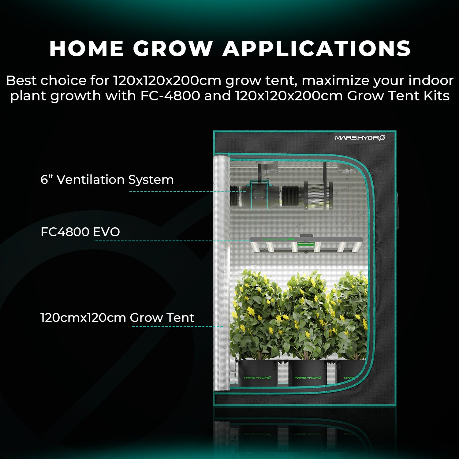 Mars Hydro FC4800 Samsung EVO Full Spectrum LED Grow Lights for 120x120cm Grow Box Tent (Final Samsung EVO Edition)