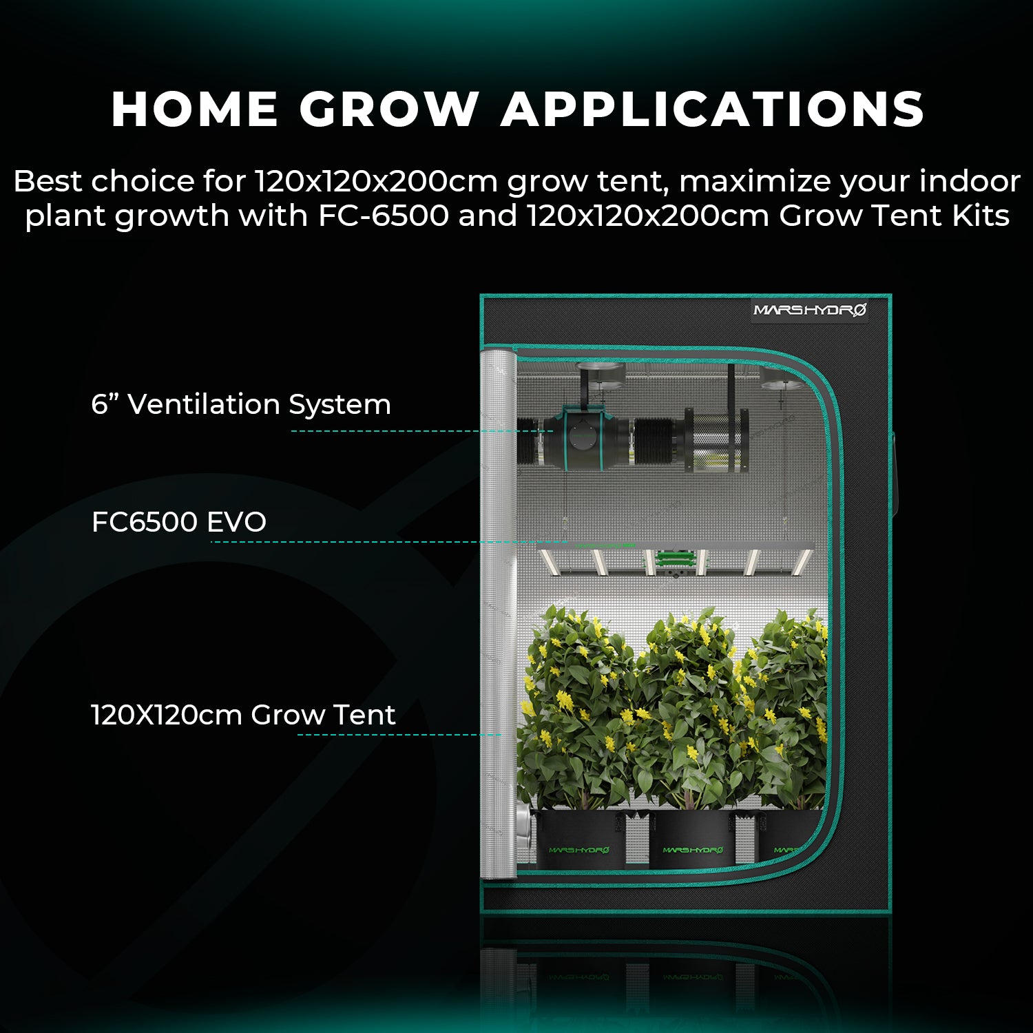 Mars Hydro FC 6500-EVO Samsung EVO Commercial Full Spectrum LED Grow Light for 150x150cm GrowBox Rated 4.98 out of 5 based on 40customer ratings (40 custo