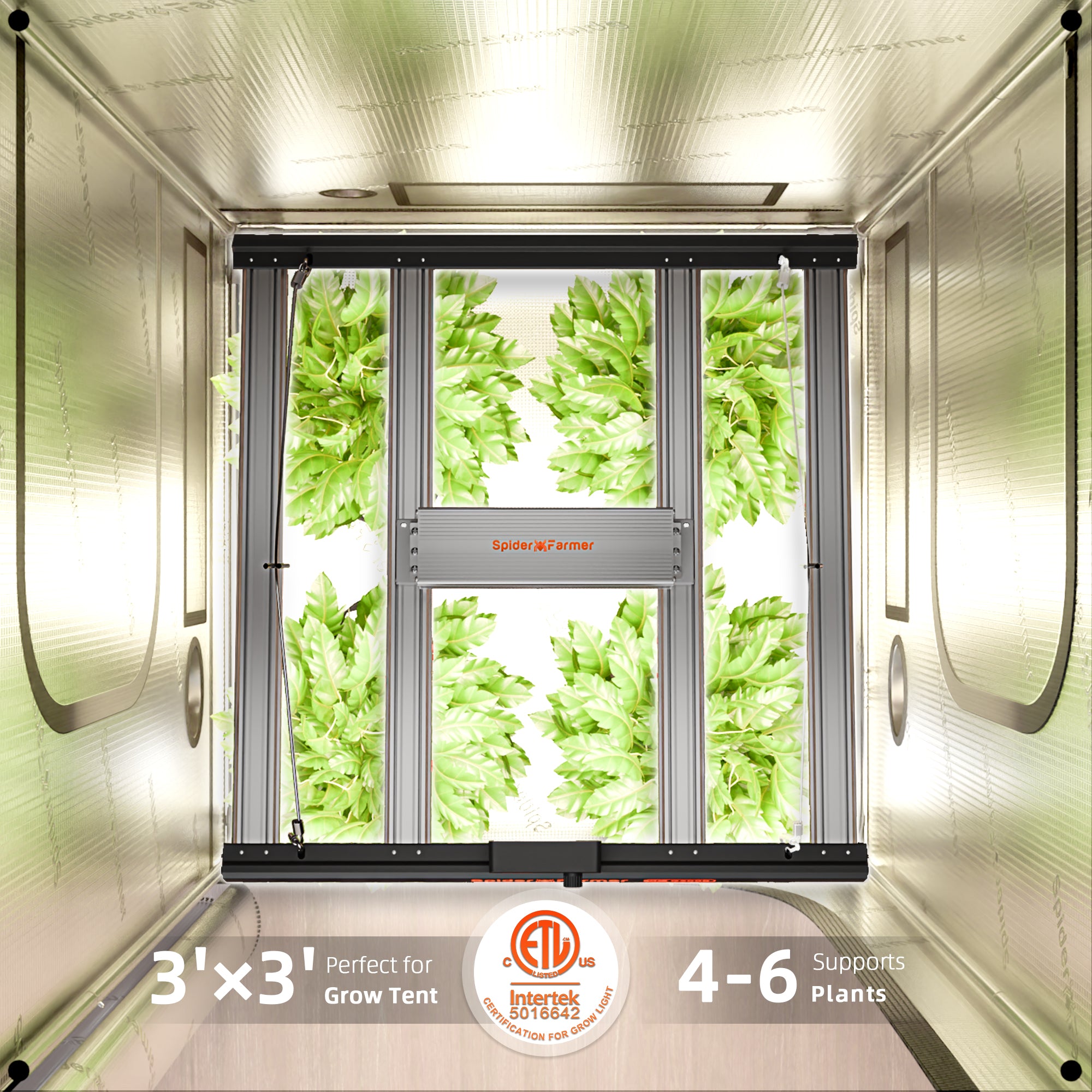 Spider Farmer® G3000 300W Dimmable Full Spectrum Grow Light