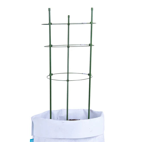 Collapsible Plant Supports