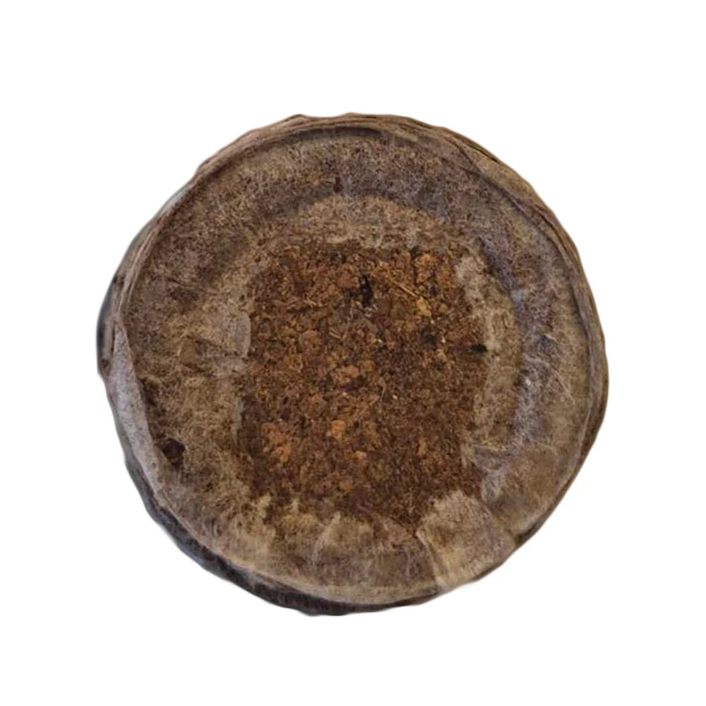 Jiffy-7C Peat Coir Plug 39x39mm