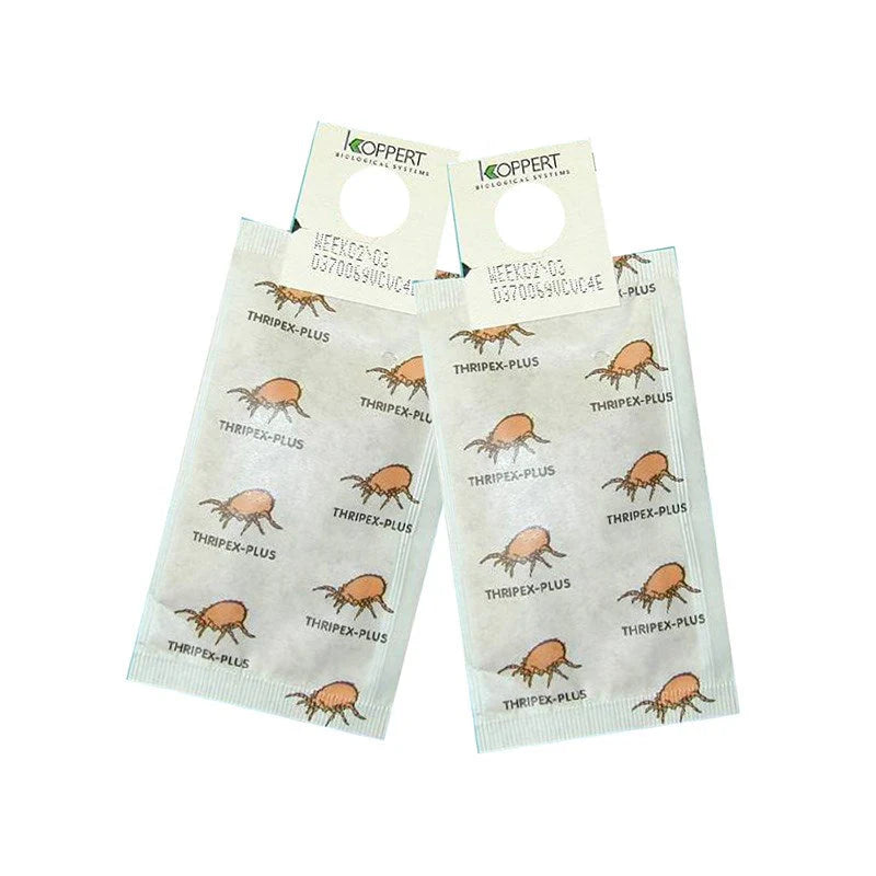 Spical Sachets