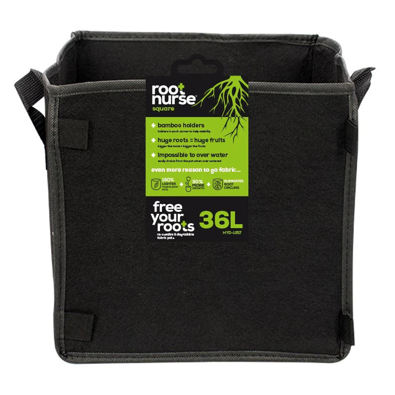 Root Nurse Square Pot