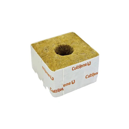 Cultiwool Cubes