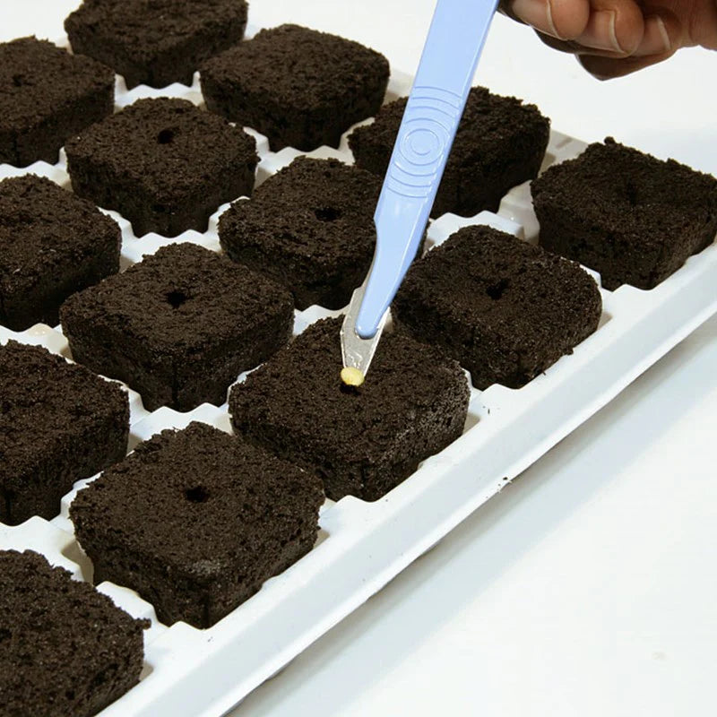 Growth Technology Root Riot