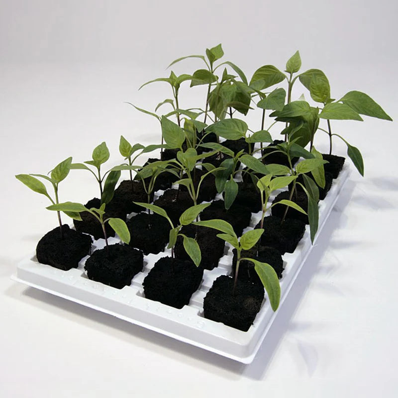 Growth Technology Root Riot