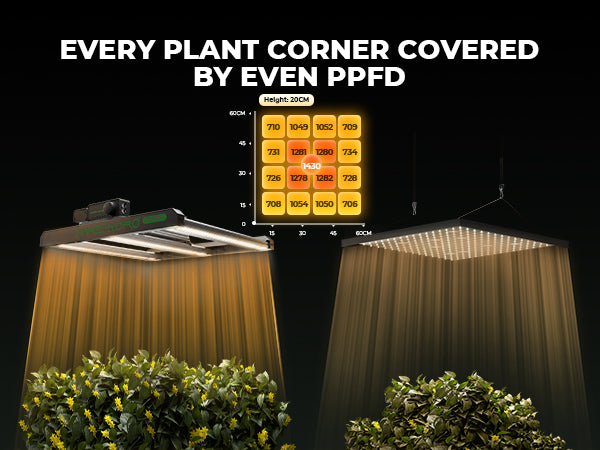 Mars Hydro FC 1500-EVO Samsung LM301H EVO 150W LED Grow Lights for 80x80cm Grow Tent (Final Samsung EVO Edition)