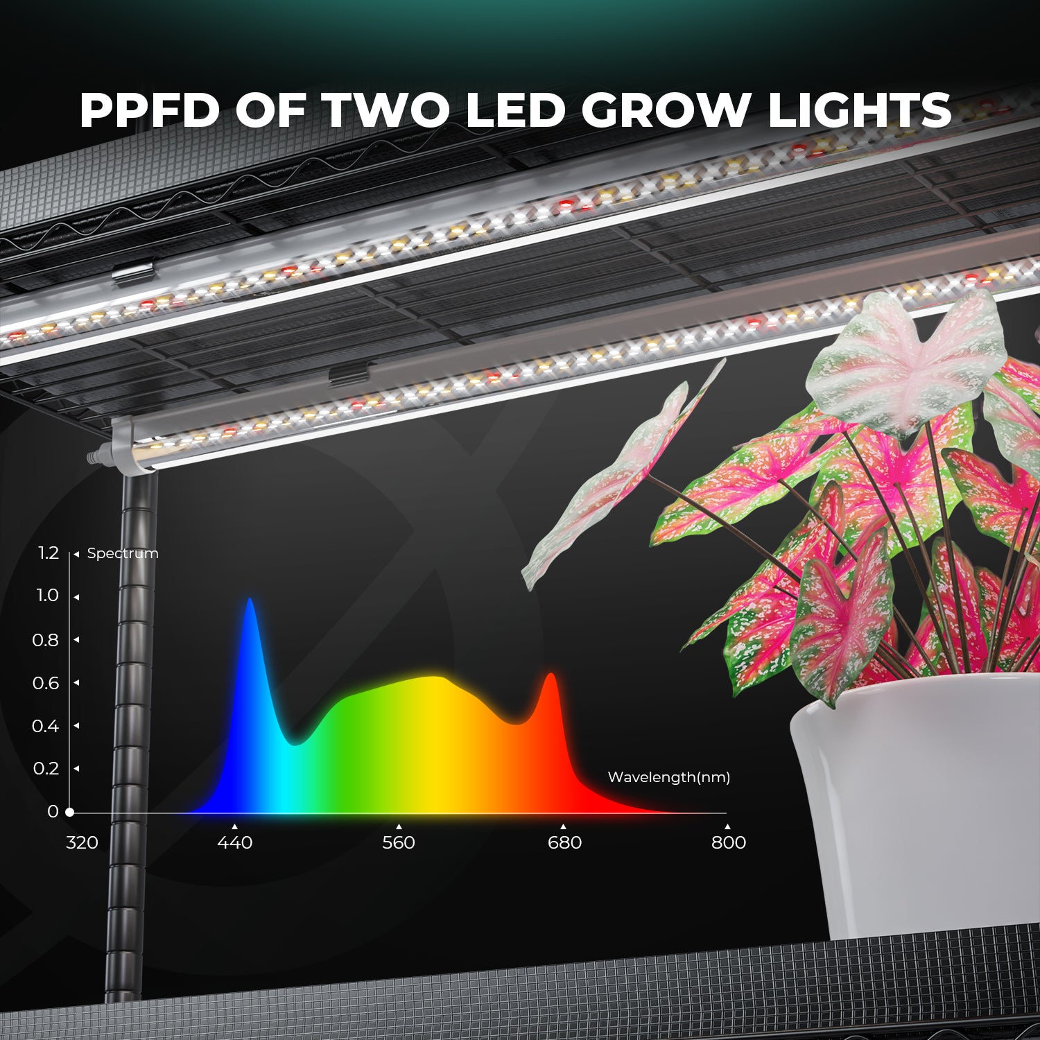 [Smart Control] Mars Hydro 4 Tier Plant Stand With 54W LED Grow Lights & Grow Tent for Cloning Seedling Veg Flower Indoor Plants with iTime Timer