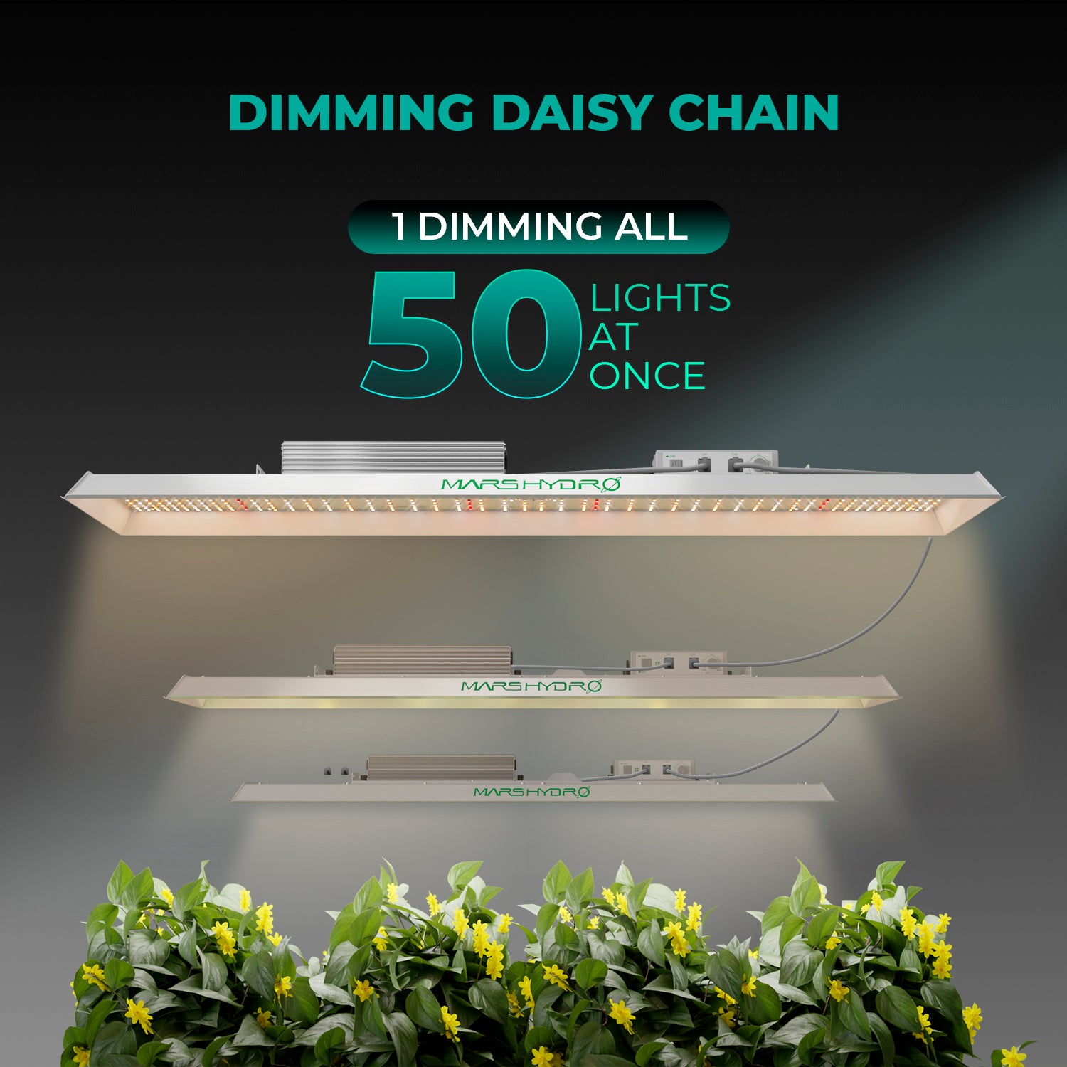 [2026 New Update] Mars Hydro TSL 2000 Full Spectrum Dimmable 300W LED Grow Light Growlampe for 120×60 Growbox