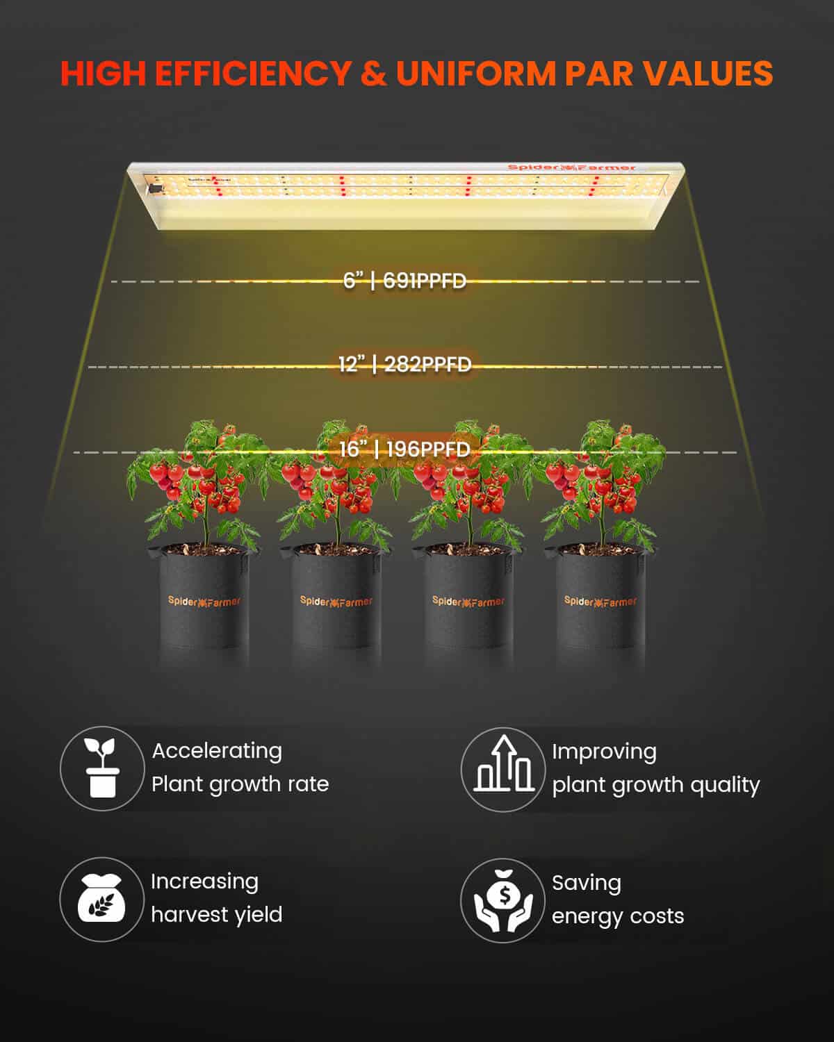 Spider Farmer SF300 33W LED Grow Light For Growing Indoor garden