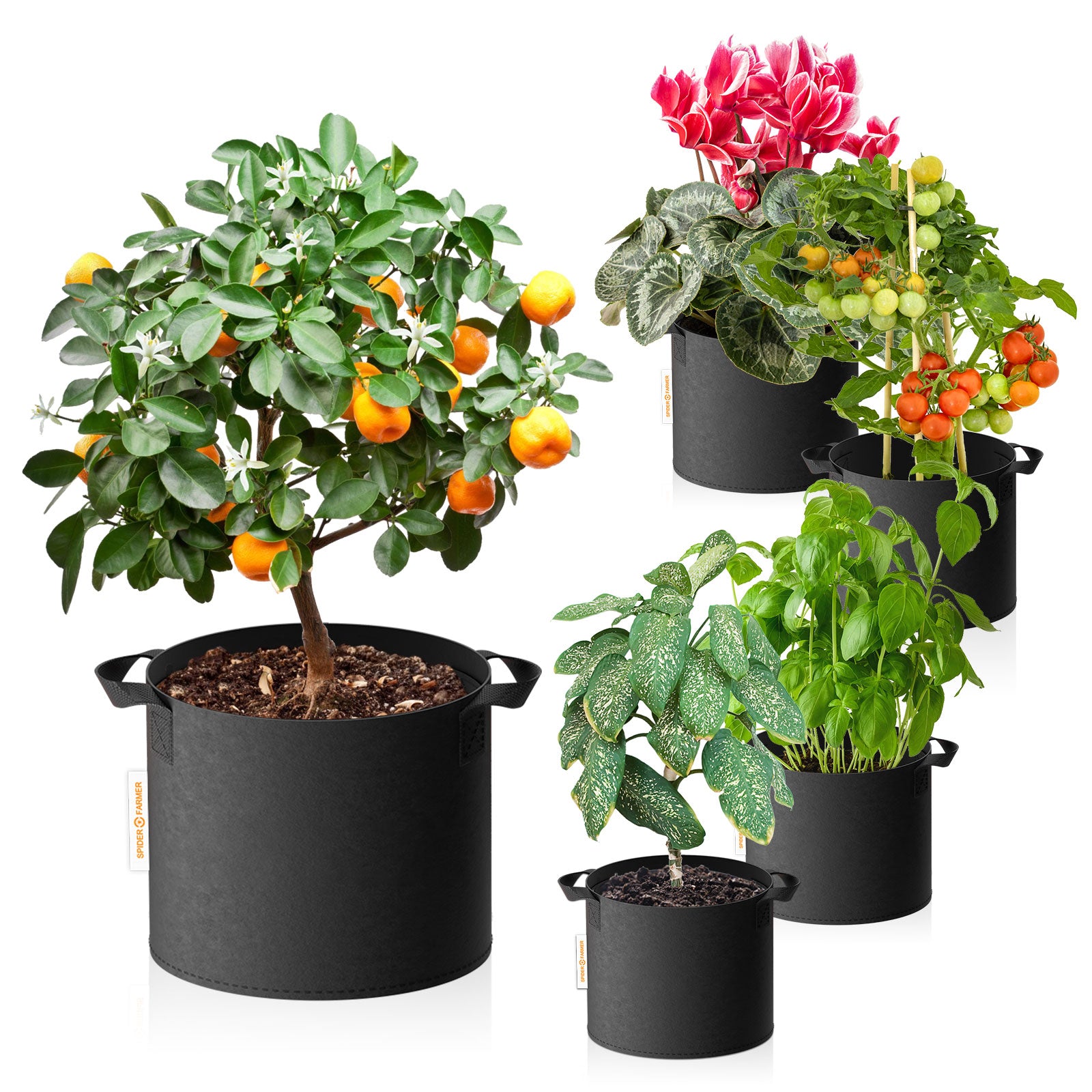 Spider Farmer 5-Pack 11 Gallon Grow Bags Reusable Heavy Duty Fabric Pots with Handles