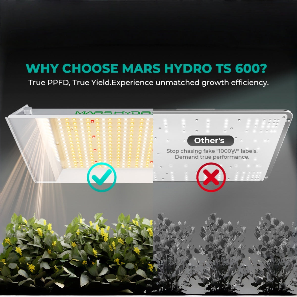 Mars Hydro TS600 100W Full Spectrum Dimmable LED Grow Lights Growlampe