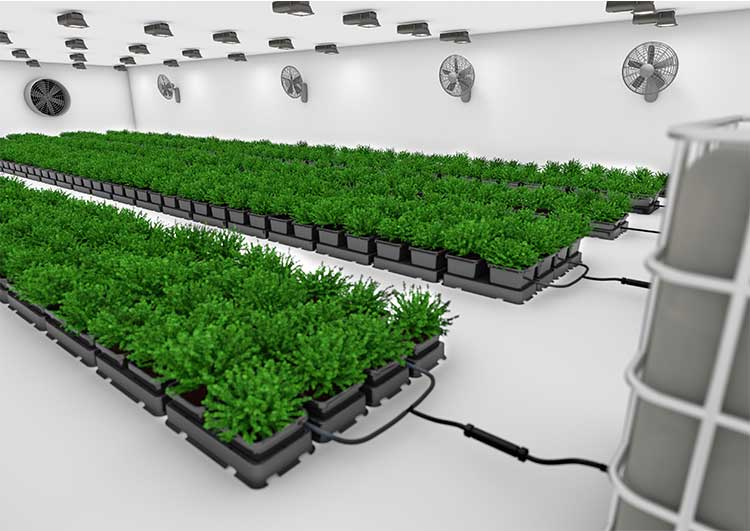 easy2grow 4 with 15ltr Pots (with 47ltr Tank)