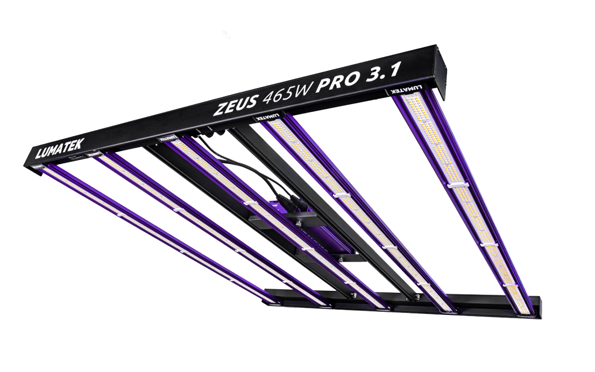 LUMATEK ZEUS 465W LED 3.1