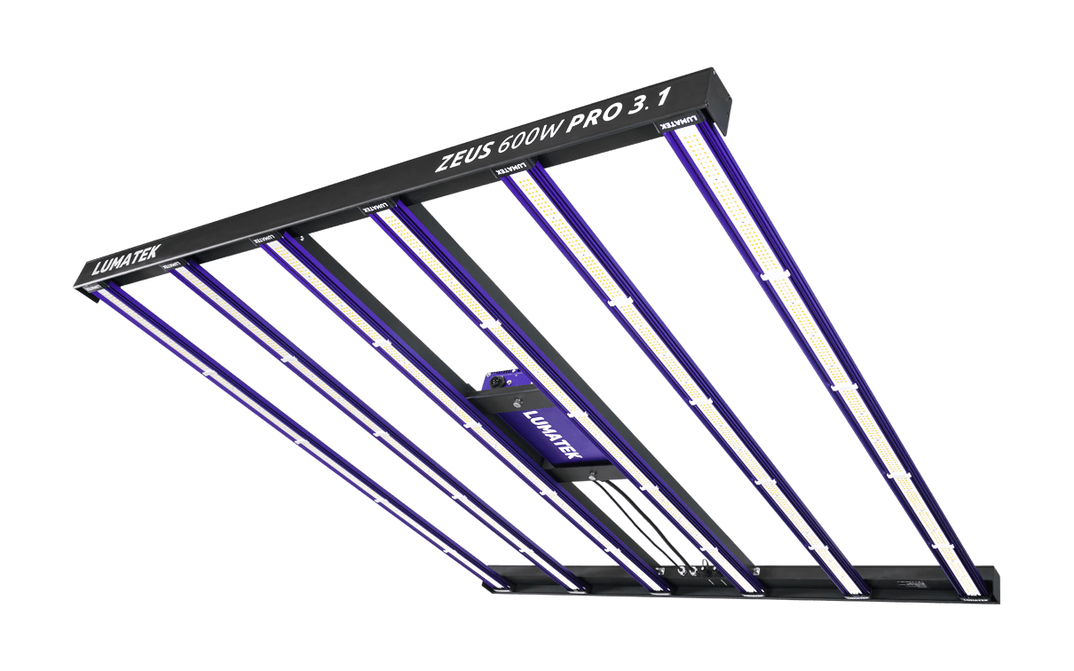LUMATEK ZEUS 600W PRO LED 3.1