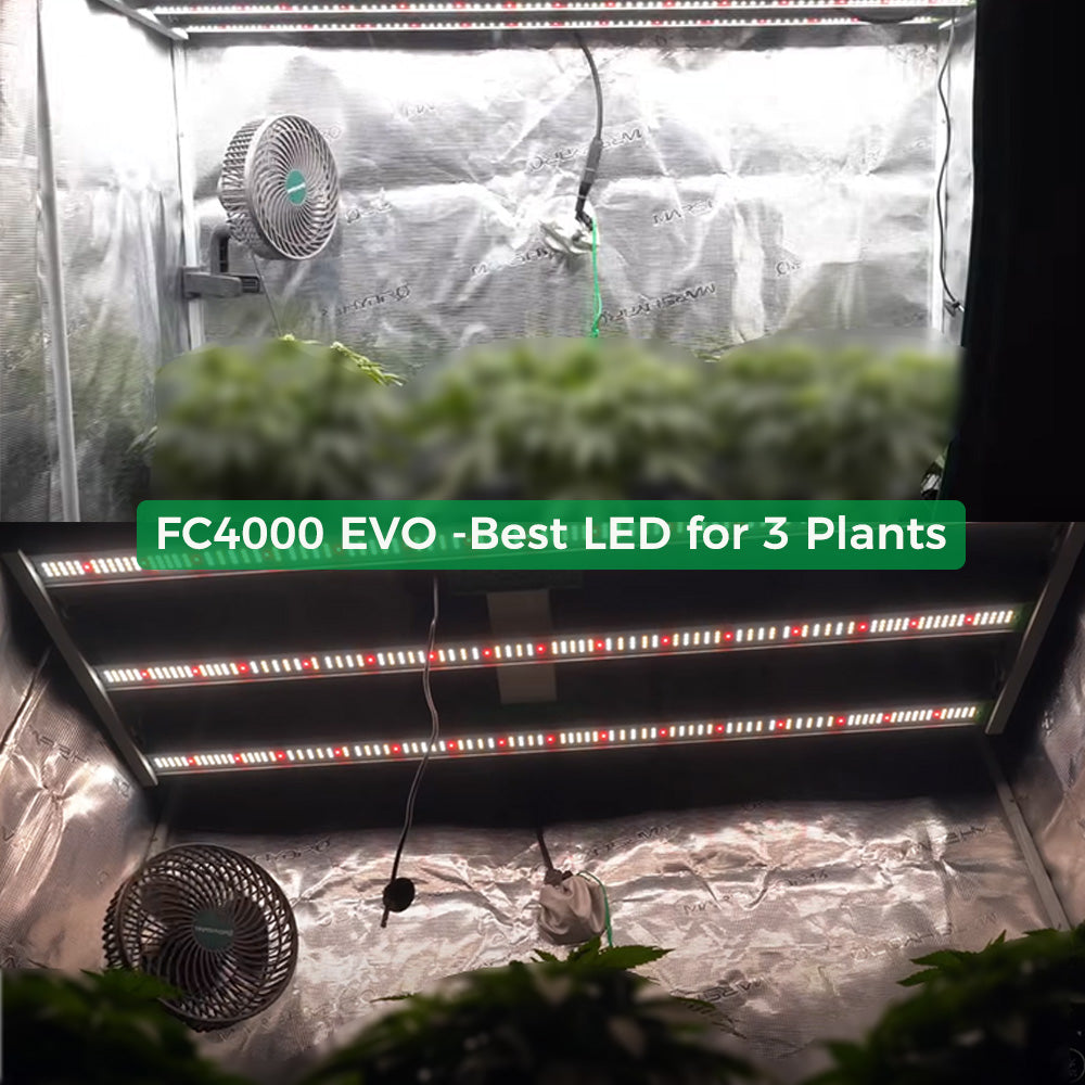 Mars Hydro FC 4000-EVO 320W Dimmable Samsung EVO LED Grow Lights Strip Full Spectrum Lamp for 120x60cm GrowBox (Final Samsung EVO Edition)